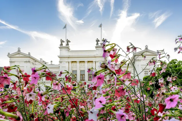 The Lund university building in evening light August 2016